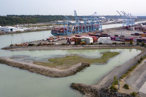 The Slip 5 habitat site