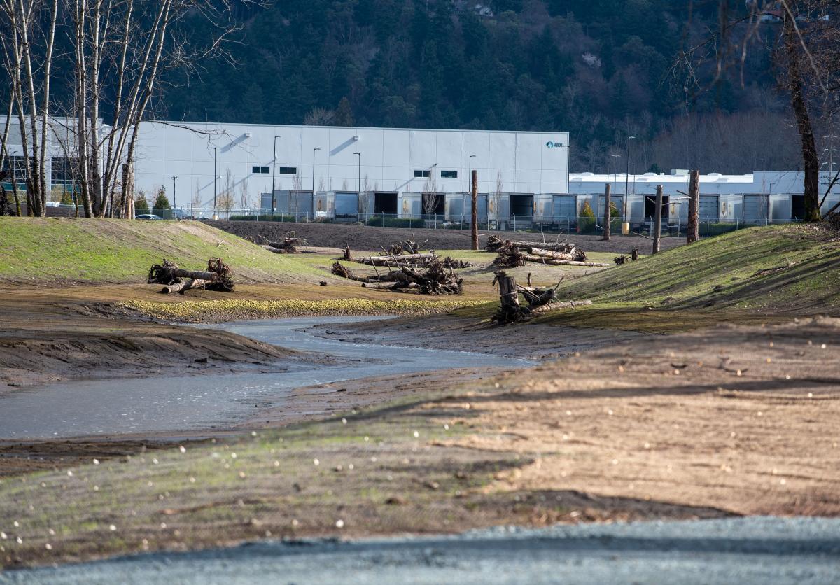 Lower Wapato Creek 